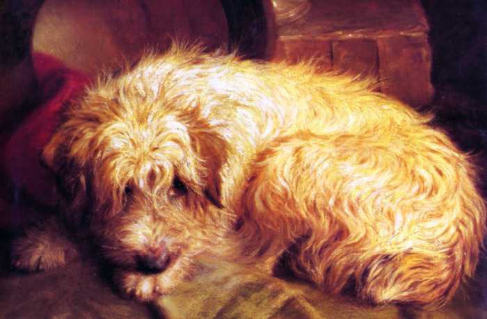 Marshall J. Fitz (1859-1932), Een Terriër