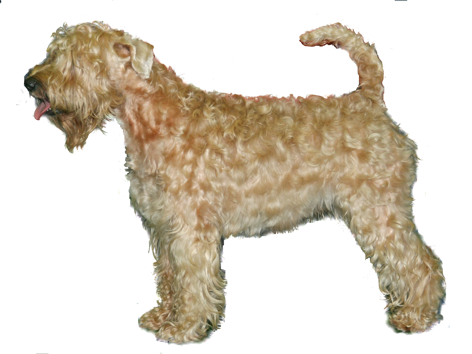 Fëanáro Luraiche Luth Cliodhna