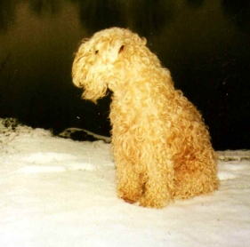 Fëanáro Anna Ar-Melian